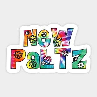 New Paltz Groovy Sticker